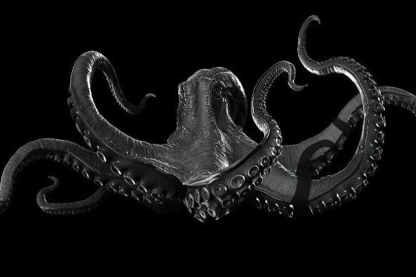 Kraken 13at