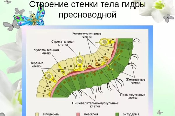 Кракен омг мега