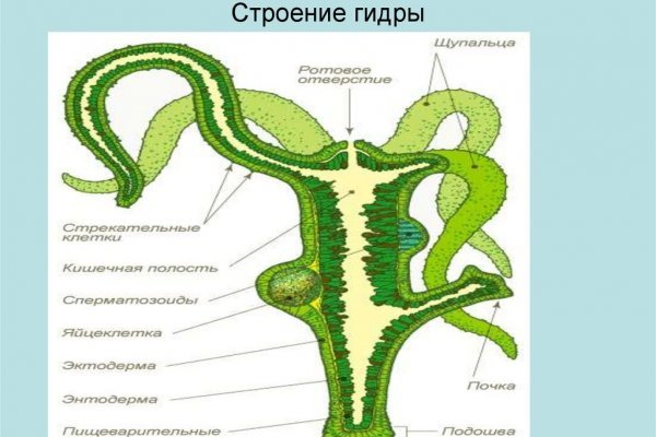 Даркмаркет кракен