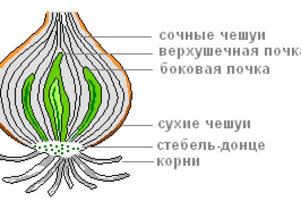 Kraken 15 at сайт